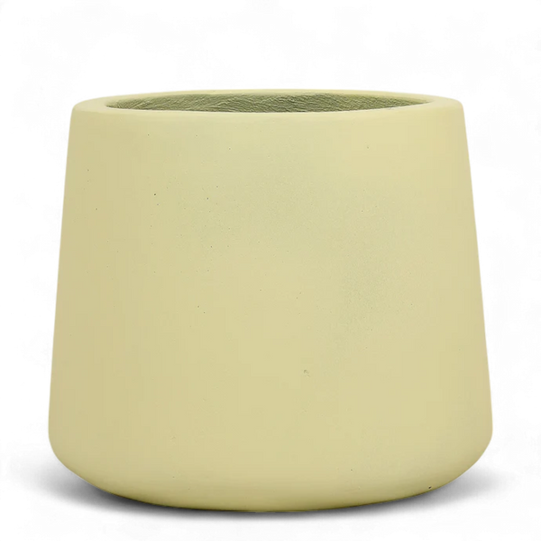 Large Round Cement Tree Pot