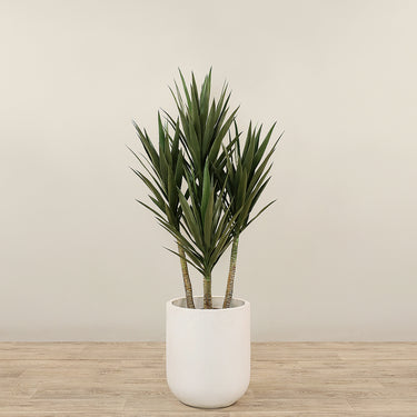 Trees-Artificial Yucca Plant 135cm-Bloomr