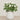 Floral Arrangement-Artificial Cabbage Rose Plant-Bloomr