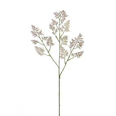 -Limonium Spray-Bloomr