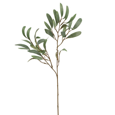 -Eucalyptus Spray-Bloomr