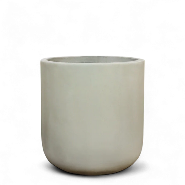 أصيص أشجار فيكونستون دائري متوسط الحجم