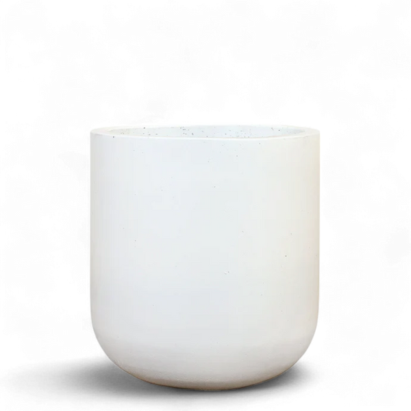 White Concrete Pot - Medium