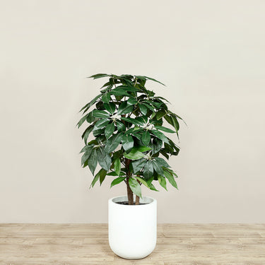 Trees-Artificial Schefflera Tree <br> 120cm-Bloomr