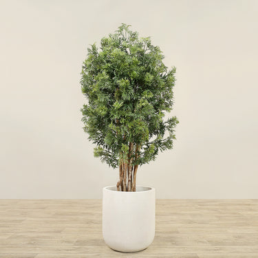 Trees-Artificial Aralia Tree 150cm-Bloomr