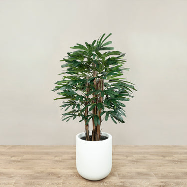 Trees-Artificial Finger Palm Tree 120cm-Bloomr