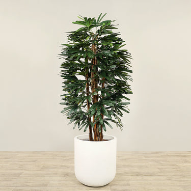 Trees-Artificial Finger Palm Tree <br> 180cm-Bloomr
