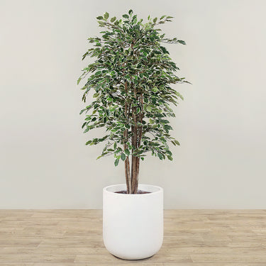 Trees-Artificial Ficus Deluxe Exotica Tree 180cm-Bloomr