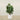 Trees-Artificial Fiddle Tree 120cm-Bloomr