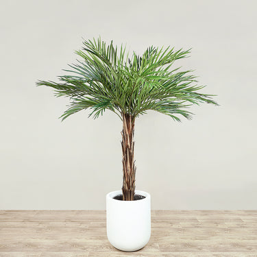 Trees-Artificial Phoenix Palm Tree 150cm-Bloomr