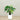 Trees-Artificial Alocasia Tree 100cm-Bloomr