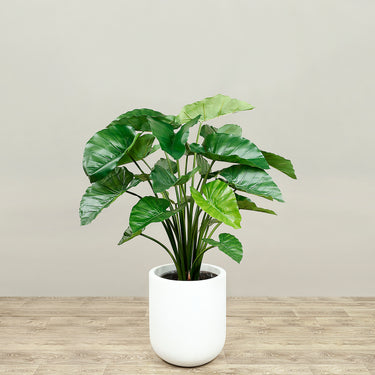 Trees-Artificial Alocasia Tree 100cm-Bloomr