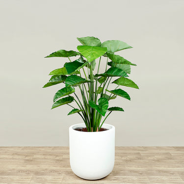 Trees-Artificial Alocasia Tree<br> 120cm-Bloomr