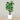 Trees-Artificial Alocasia Tree 185cm-Bloomr