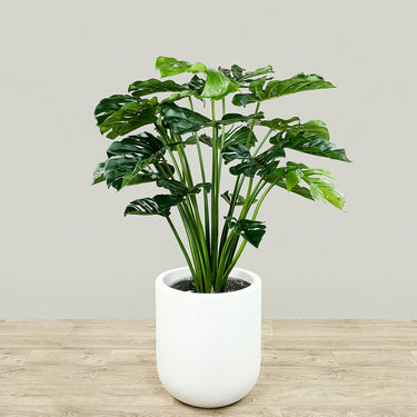Trees-Artificial Monstera 100cm-Bloomr
