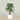 Trees-Artificial Monstera Tree 165cm-Bloomr