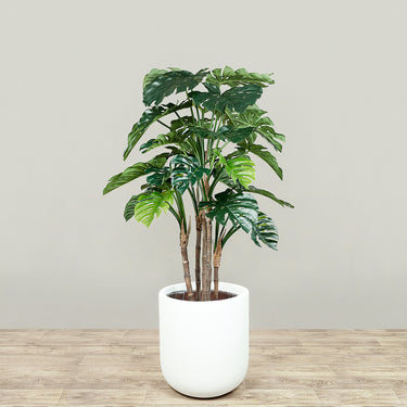 Trees-Artificial Monstera Tree 165cm-Bloomr