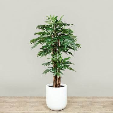 Trees-Artificial Areca Palm <br> 150cm-Bloomr