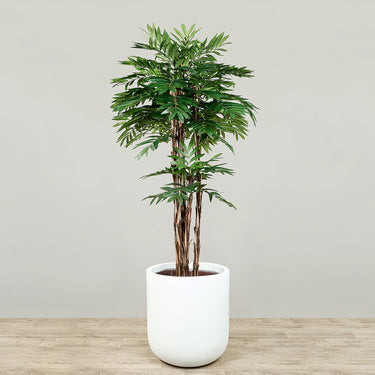 Trees-Artificial Areca Palm 180cm-Bloomr