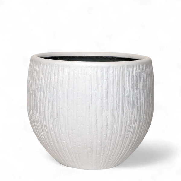 Round Ficonstone Tree Pot - Medium