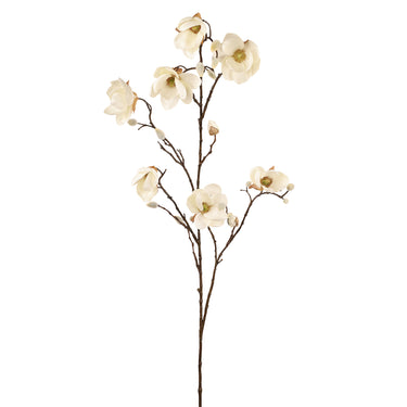 -Magnolia-Bloomr