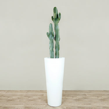 Trees-Artificial Cactus Plant 120cm-Bloomr