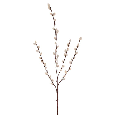 Plants-Willow Spray-Bloomr