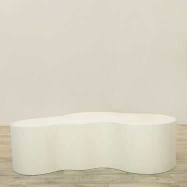 Furniture-Coffee Table-Bloomr