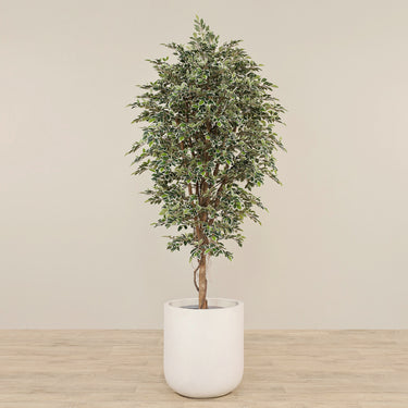 -Artificial Mini Ficus Tree 210cm-Bloomr