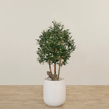 '-Artificial Olive Tree 120cm-Bloomr