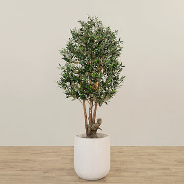 '-Artificial Olive Tree 150cm-Bloomr