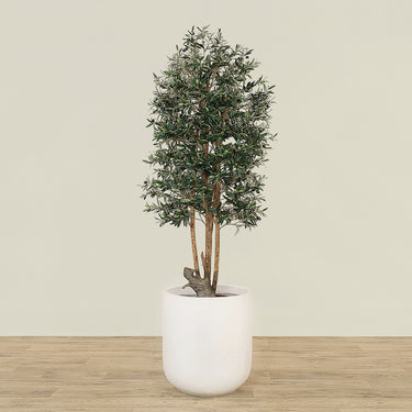 '-Artificial Olive Tree 180cm-Bloomr