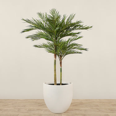 Trees-Artificial Phoenix Palm Tree 210cm-Bloomr