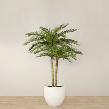 Trees-Artificial Phoenix Palm <br> 240cm-Bloomr