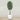 Trees-Artificial Olive Tree 240cm-Bloomr