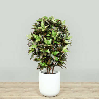 Trees-Artificial Croton Plant<br> 120cm-Bloomr