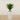 Trees-Artificial Yucca Plant 75cm-Bloomr