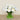 Floral Arrangement-Artificial Ranunculus Arrangement in Glass Vase-Bloomr
