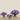 Floral Arrangement-Artificial Ranunculus Arrangement in Glass Vase-Bloomr