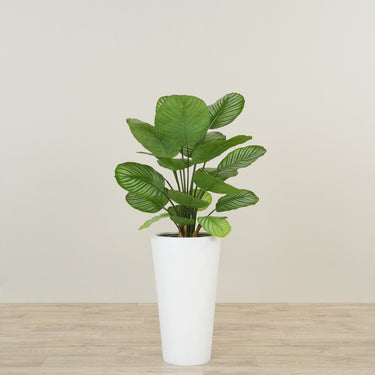 -Artificial Calathea Tree 70cm-Bloomr
