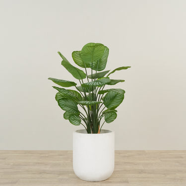 -Artificial Calathea Tree 90cm-Bloomr