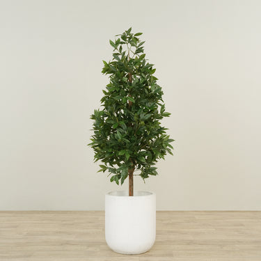 -Artificial Laurel Tree 150cm-Bloomr