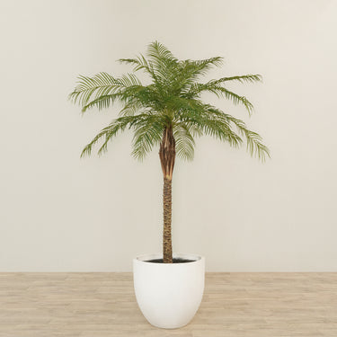 -Artificial Phoenix Palm Tree 210cm-Bloomr