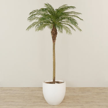-Artificial Phoenix Palm 300cm-Bloomr