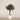 Trees-Artificial Olive Tree 270cm-Bloomr