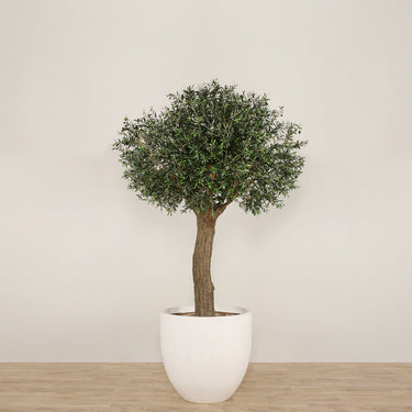 Trees-Artificial Olive Tree 270cm-Bloomr
