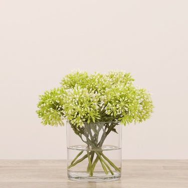 -Allium Arrangement in Glass Vase-Bloomr
