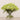 -Allium Arrangement in Glass Vase-Bloomr