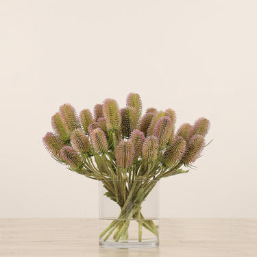 Floral Arrangement-Dipsacus Arrangement in Glass Vase-Bloomr