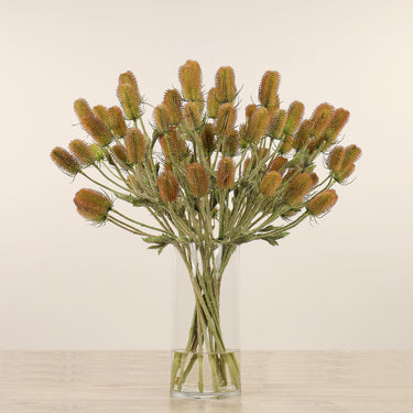-Dipsacus Arrangement in Glass Vase-Bloomr